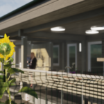 Баня Кирилл Виз