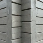 Беловешская пуща 6