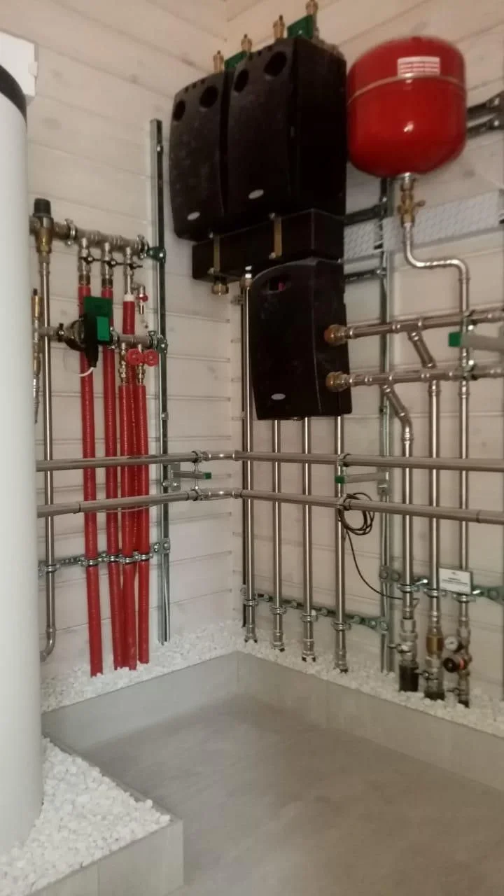 Беловешская пуща 6