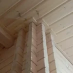 Беловешская пуща 6