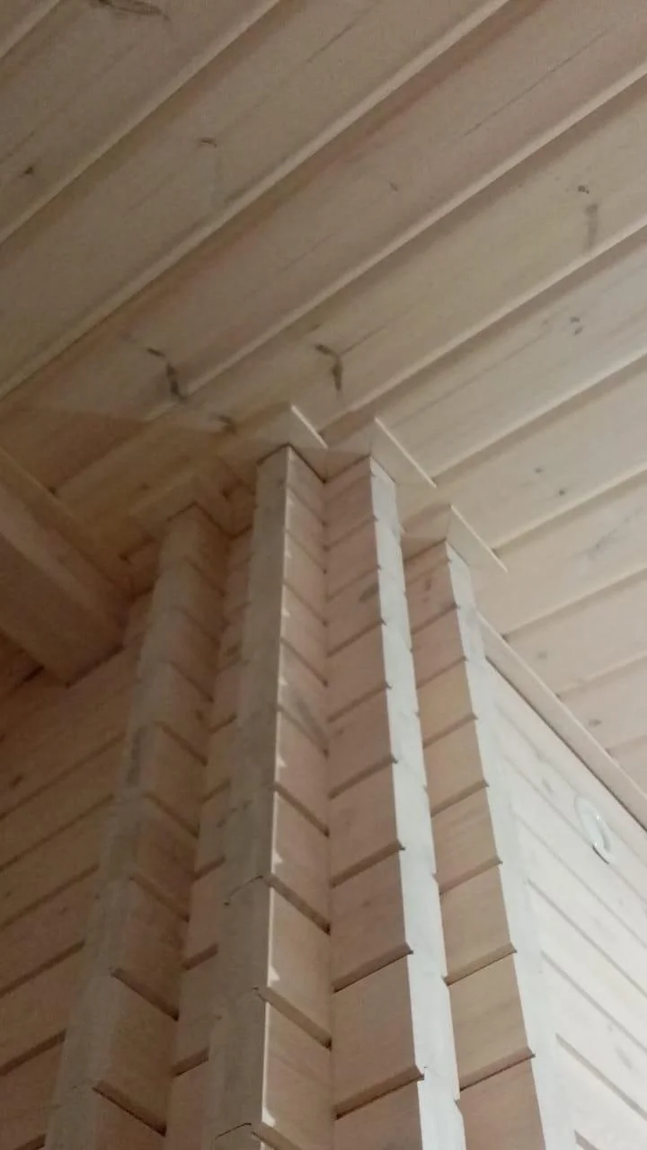 Беловешская пуща 6