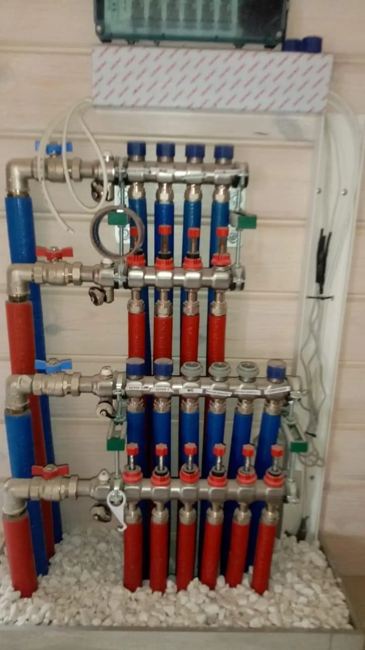 Беловешская пуща 6