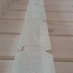 Беловешская пуща 6