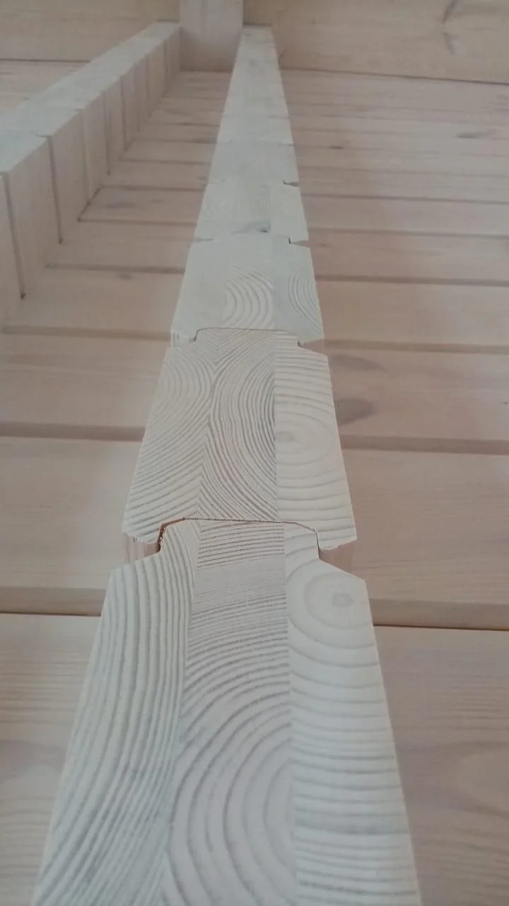 Беловешская пуща 6