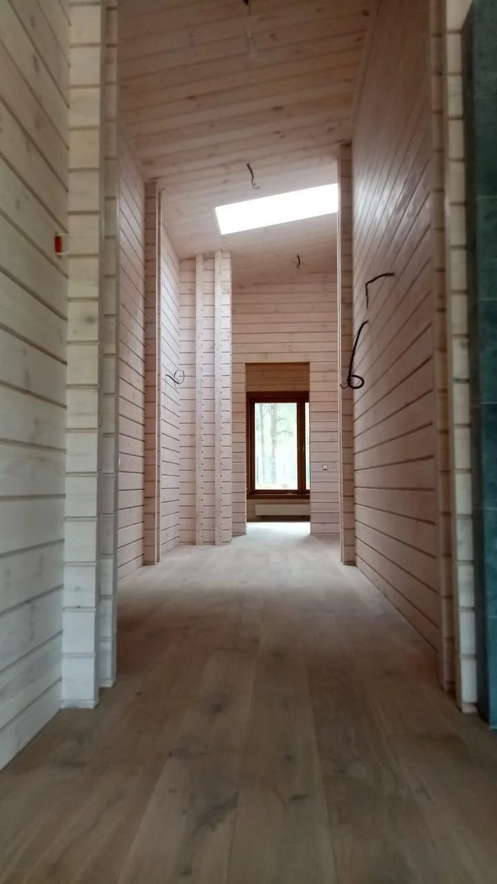 Беловешская пуща 6